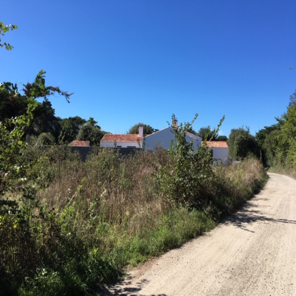 Offres de vente Terrain L'Île-d'Yeu 85350