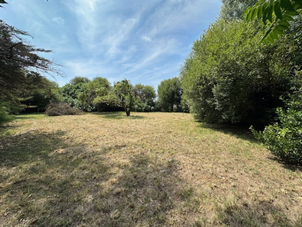 Offres de vente Terrain L'Île-d'Yeu 85350