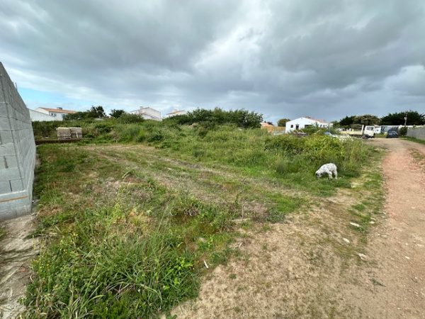 Offres de vente Terrain L'Île-d'Yeu 85350